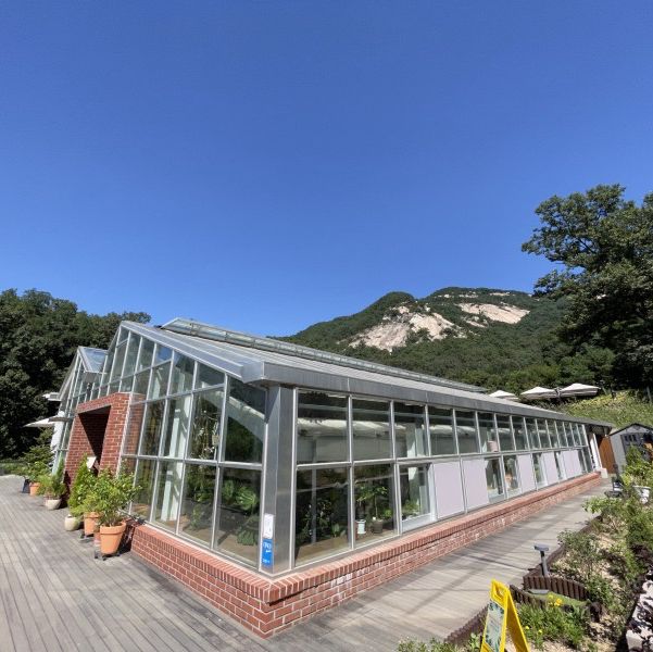 불암산뷰 식물원카페, 카페 포레스트⛰️