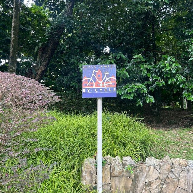 永遠有驚喜的森林保護區