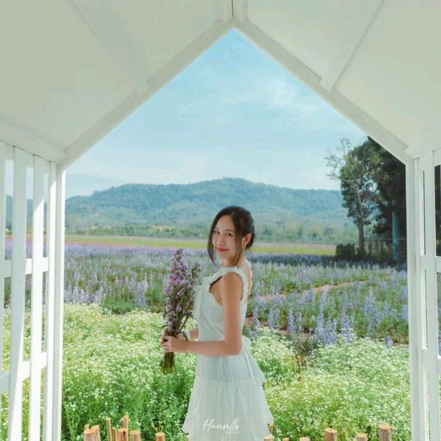 คาเฟ่กลางสวนดอกไม้ วิวภูเขา มุมถ่ายรูปเพียบ