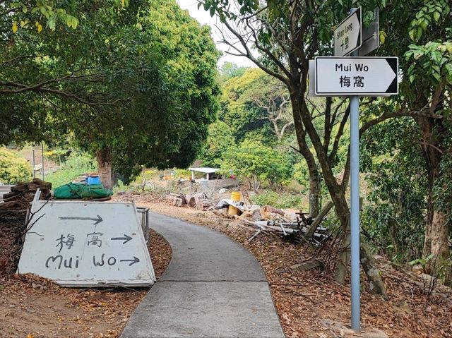 唔係淨係老人先可以去既山 ~ 老人山