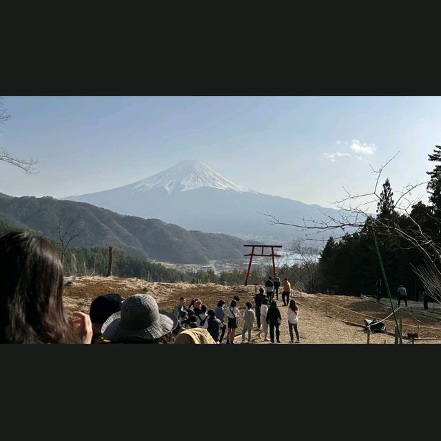 n賞富士山🏔無得頂🤳