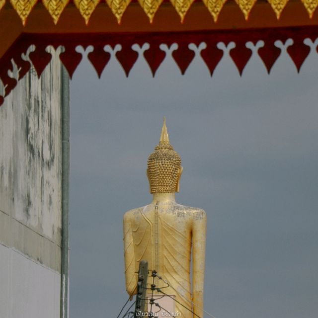 ร้อยเอ็ดวันเดย์ทริปใจกลางเมือง