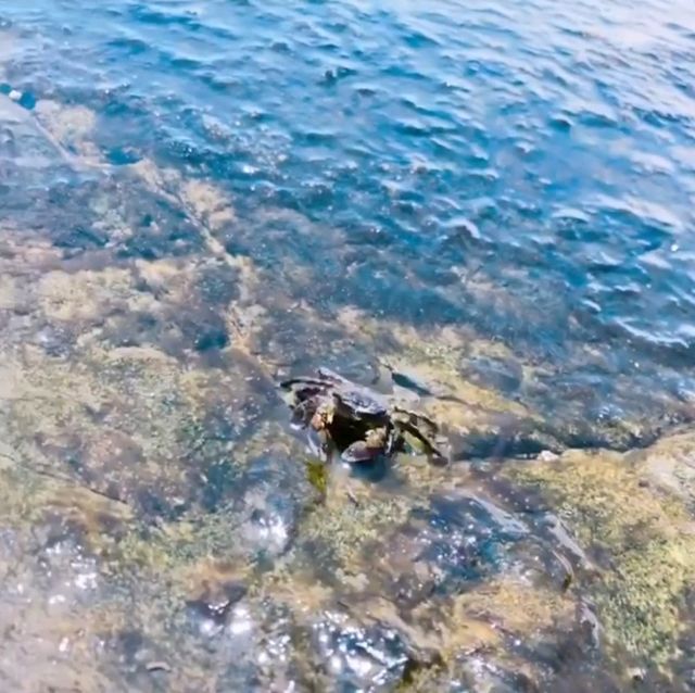 【神奈川県/藤沢市】江の島/稚児ヶ淵