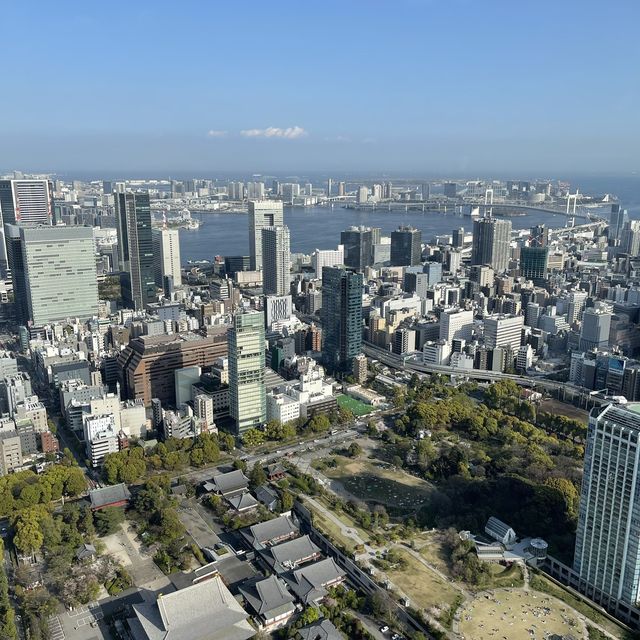 晴天の東京タワー
