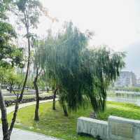 台糖生態湖 湧泉公園 (台糖湖濱生態園區)
