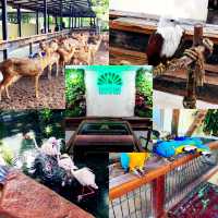 What To Do in Langkawi 