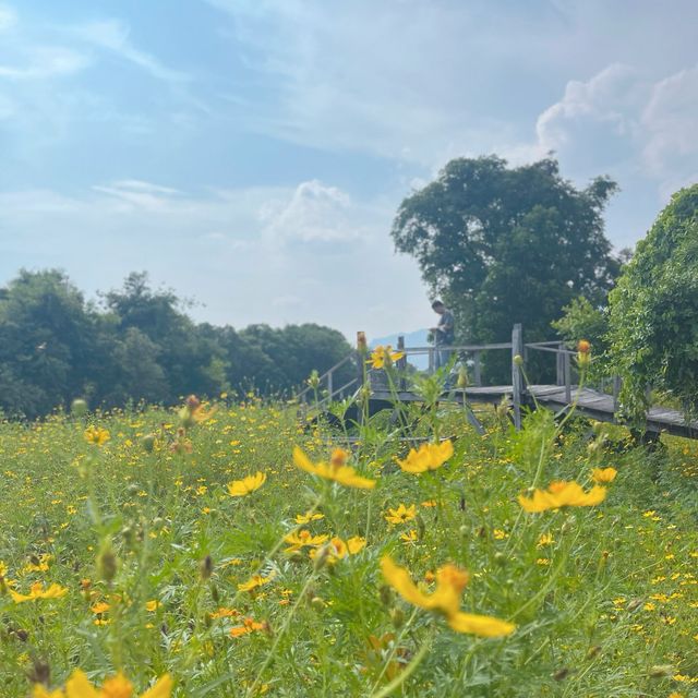 ชี้เป้าถ่ายรูป ฮีลใจ ถ้าไปลพบุรีห้ามพลาด