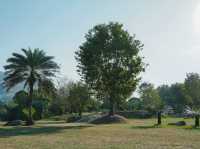 Chong Mafueng Camping  -ช่องมะเฟือง แคมป์ปิ้ง