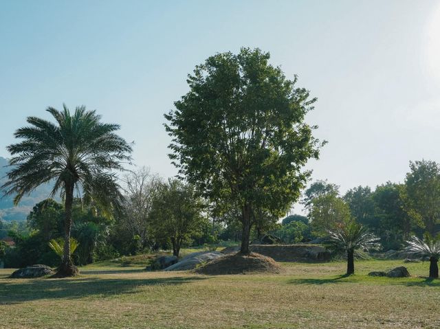 Chong Mafueng Camping  -ช่องมะเฟือง แคมป์ปิ้ง