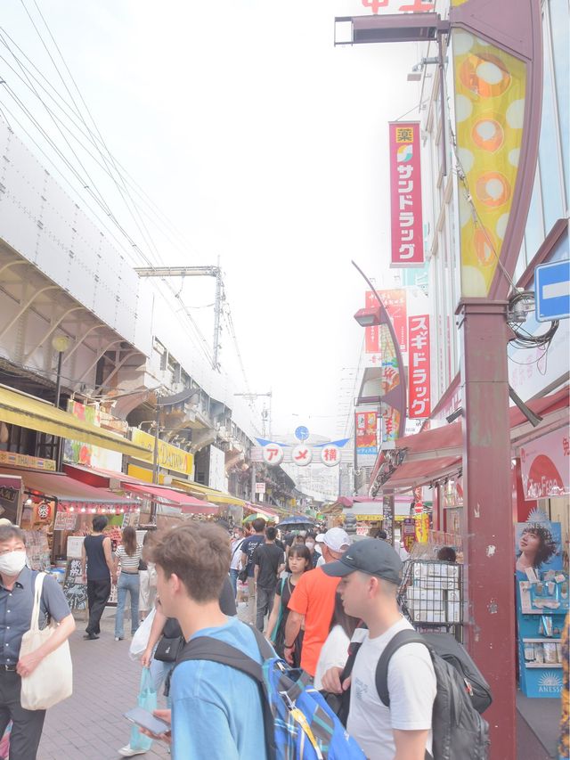 上野「成田空港から一本オススメ観光地」