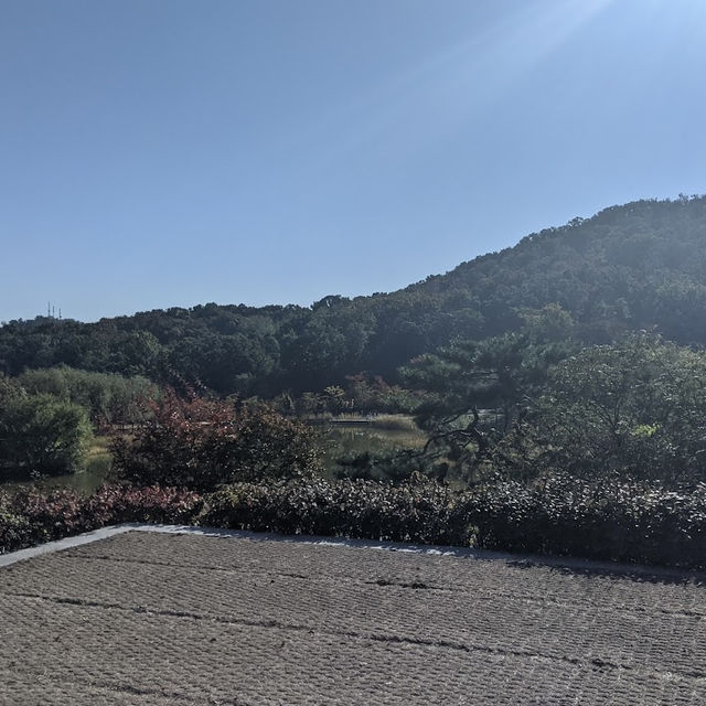 Perfect place for relaxation 