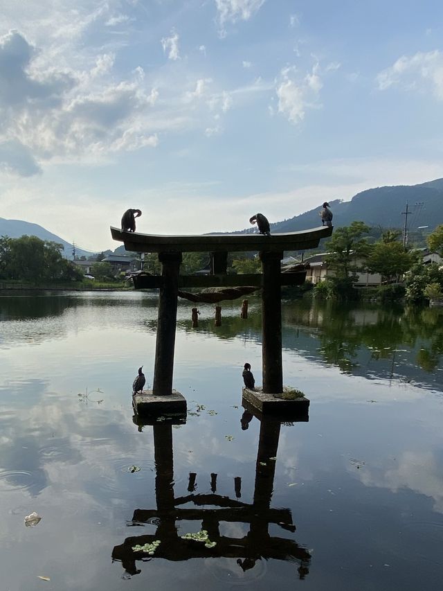 日本🇯🇵 ｜由布院一日遊 - 日本必去溫泉地點