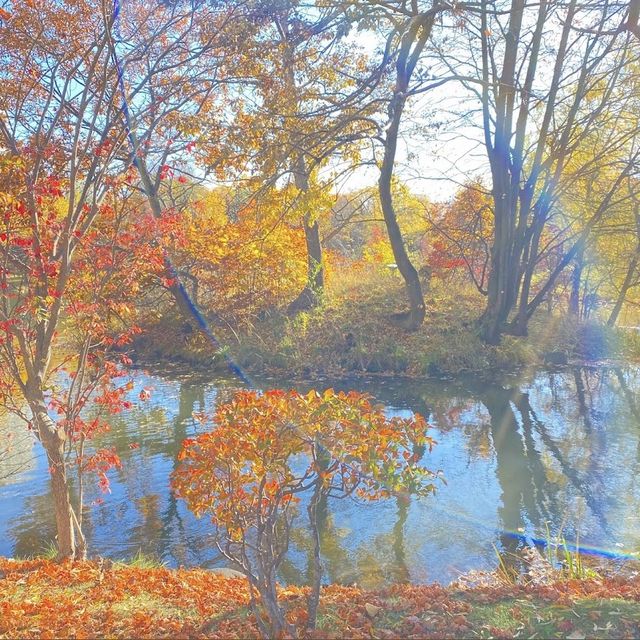 《北海道》四季を楽しめる公園🐥