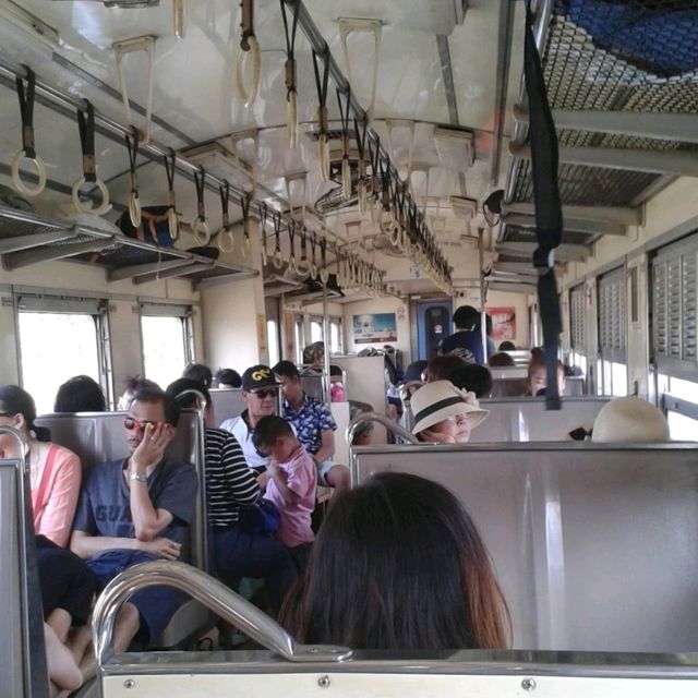 วันหยุดนั่งรถไฟไปทะเล |สวนสนประดิพัทธ์ 