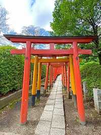 【東京都/根津神社】千本鳥居で人気の神社