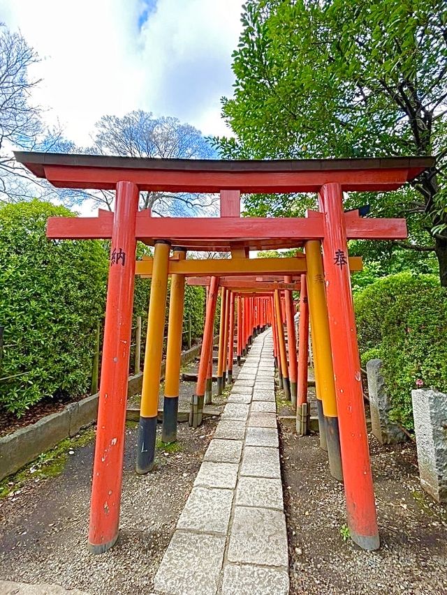 【東京都/根津神社】千本鳥居で人気の神社