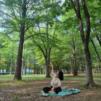 도심 속 자연을 즐기기 좋은 양재 시민의 숲 🌳