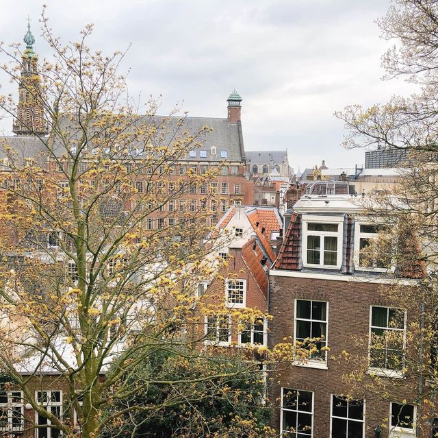 荷蘭🇳🇱萊頓🔰⚜️🔱 Burcht van Leiden 上層景觀篇