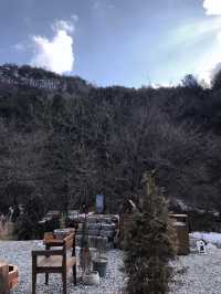 세련된 촌캉스 🏠 원주 감성숙소 물풀 moolpool