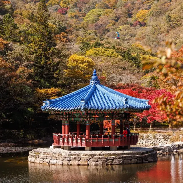 Beautiful Autumn View of Naejangsan Park 