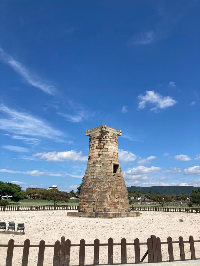 경주 1박 2일 뚜벅이 여행 코스 및 꿀팁🩵