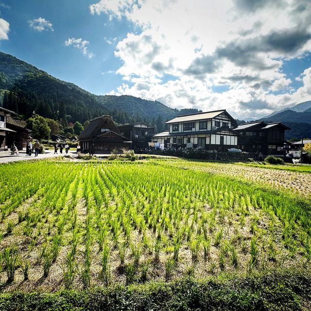 【白川鄉四季景色】巴士或自駕，觀景台飽覽全景