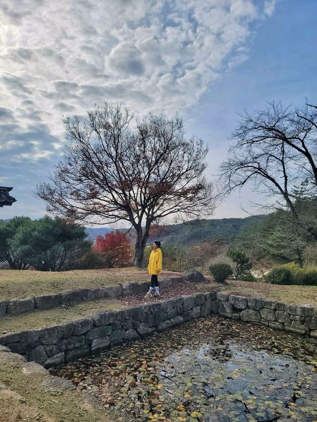 드라마 악귀 촬영지 안동 군자마을🏯