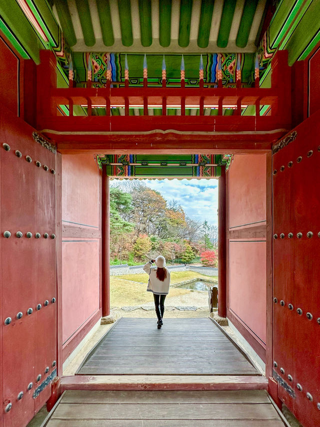 Best autumn spots in Seoul & beyond 🍁🍂