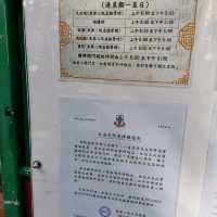 九龍市中心的綠洲