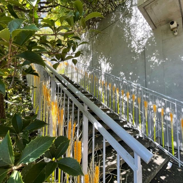 アクロス福岡