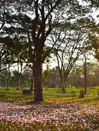 สวนวชิรเบญทัศ 🍃🌳☘️🍀🪵