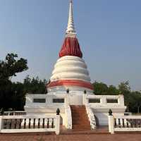 | ป่าชายเลน |  พระเจดีย์กลางน้ำ 🌳 ป่าในเมืองจังหวั