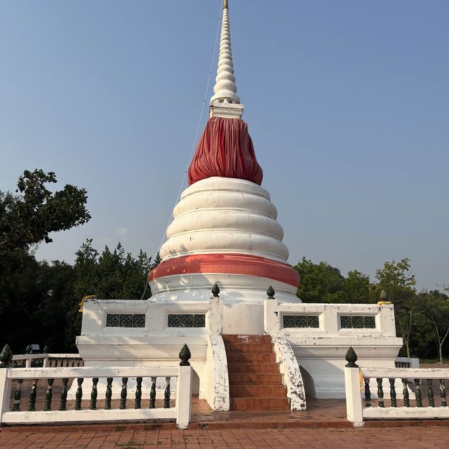 | ป่าชายเลน |  พระเจดีย์กลางน้ำ 🌳 ป่าในเมืองจังหวั