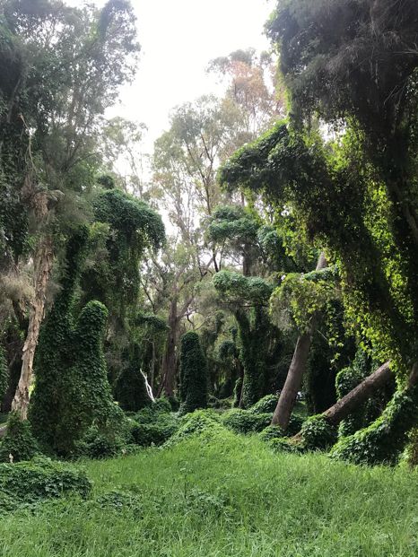 Perth 珀斯秘密花園(Secret Garden) | 世外桃源的景色