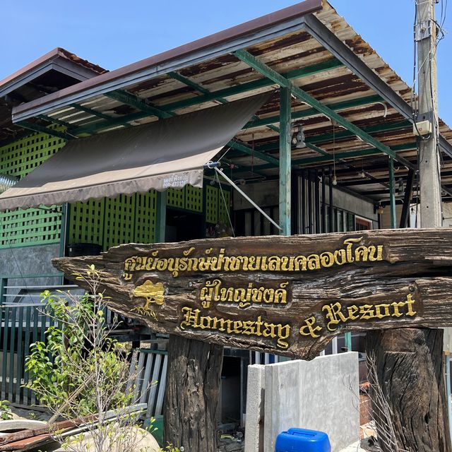 ศูนย์อนุรักษ์ป่าชายเลนคลองโคน