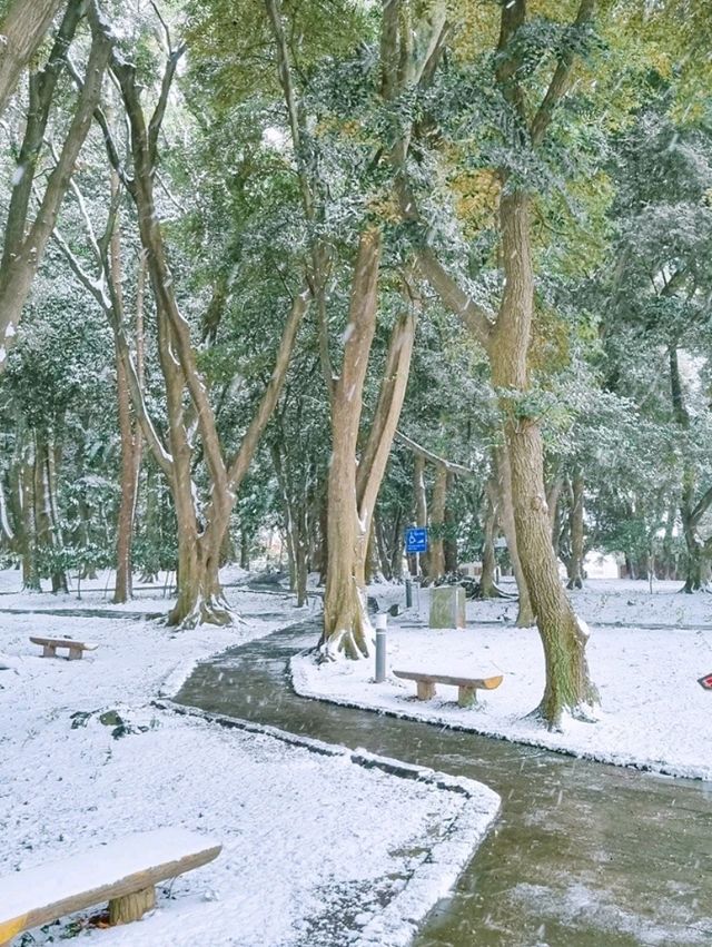 제주에서 봄&겨울 산책하기 좋은  곳"삼성혈"