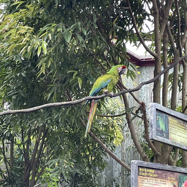 去邊去玩？🤣來香港Ocean Park。