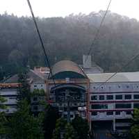 Viewing Natural Forest When Taking Skyway