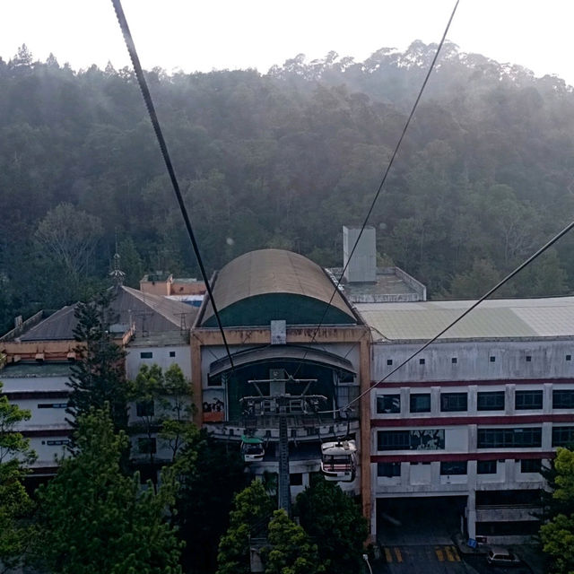 Viewing Natural Forest When Taking Skyway