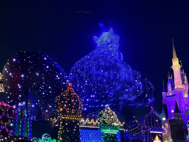 도쿄 디즈니랜드 저녁 퍼레이드, 일렉트리컬 퍼레이드✨