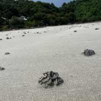 水清沙幼度假勝地