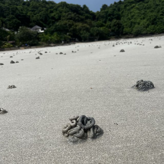 水清沙幼度假勝地