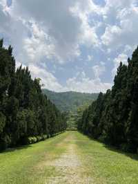 Cypress Lanes สวนกลางหุบเขา 🌲🌲