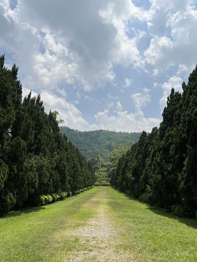 Cypress Lanes สวนกลางหุบเขา 🌲🌲