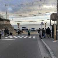 關東夢幻嘅打卡位