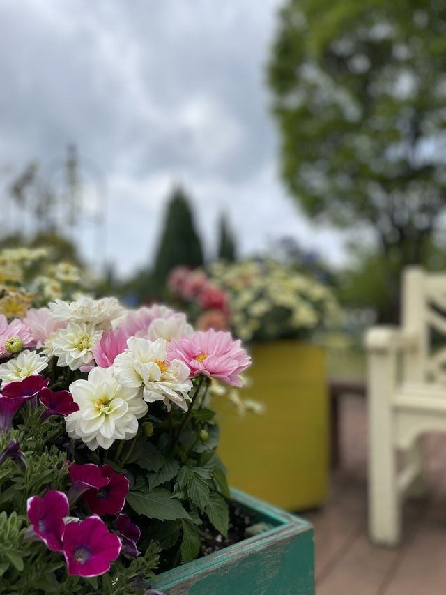 【名古屋】お花がたくさんのお庭でゆったり！