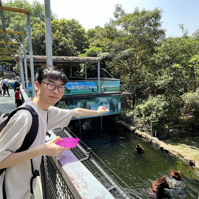 性價比超高的深圳野生動物園🦁