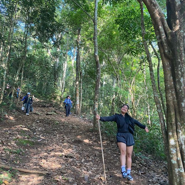 พิชิตยอดเขาหลวง⛰️