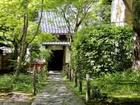 【京都】絶景ながらマイナー観光スポット！蓮華寺をご紹介