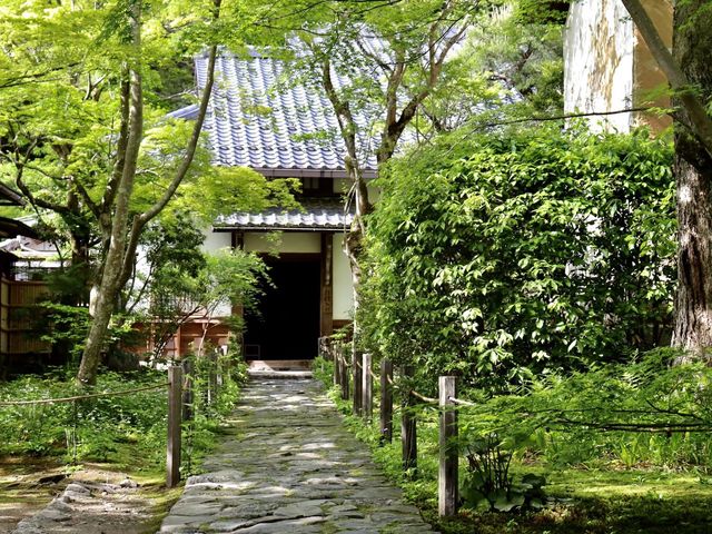 【京都】絶景ながらマイナー観光スポット！蓮華寺をご紹介